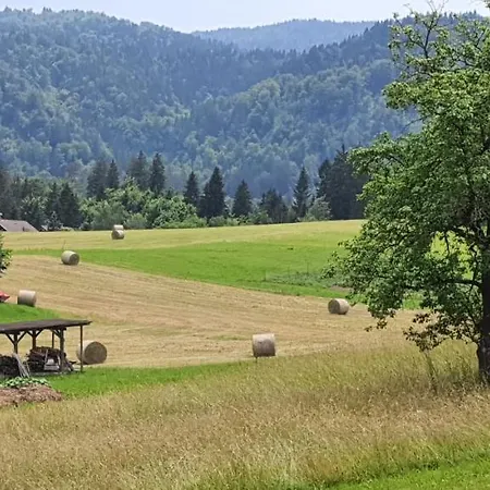 Apartma D&d Ribno * בלד