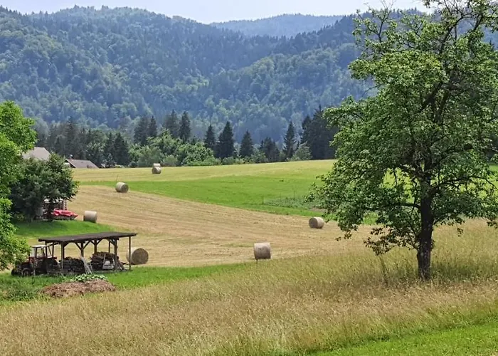 Apartma D&d Ribno * بليد